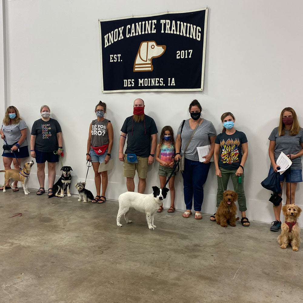 Obedience Class